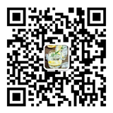 the qr code